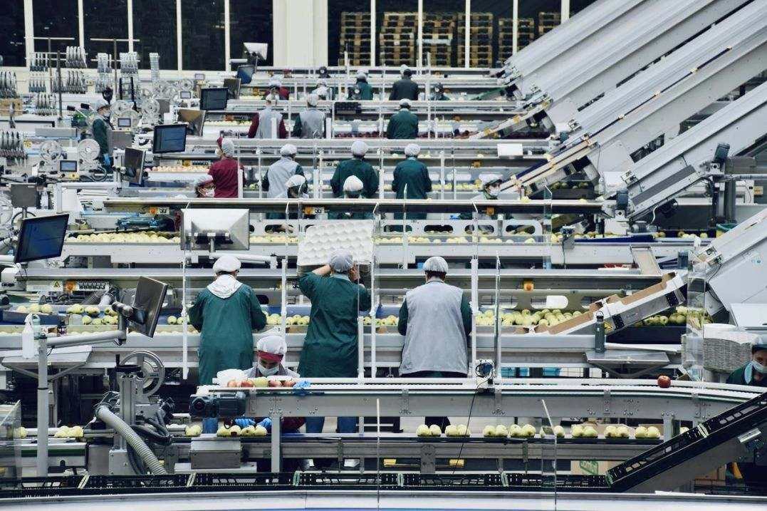 Export support